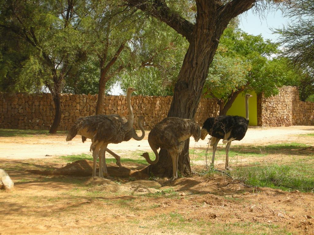Auas Safari Lodge Windhoek Exterior photo
